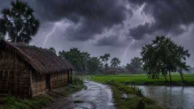 Monsoon