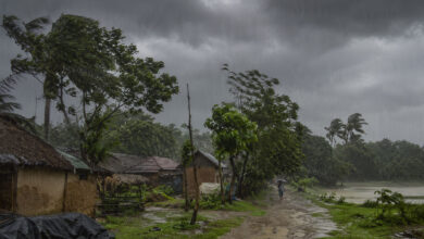 Monsoon