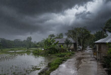 Monsoon