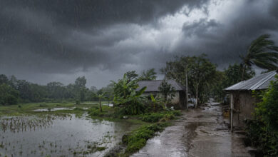 Monsoon