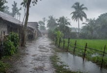 Monsoon