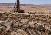 Archaeology