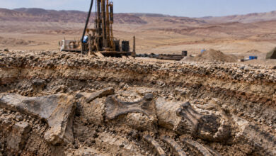 Archaeology