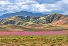 Atacama Desert