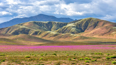 Atacama Desert