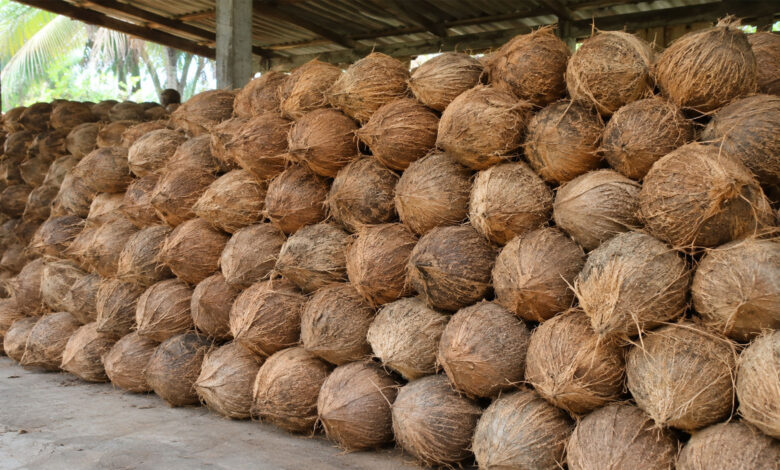 Coconut