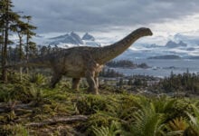 Dinosaur