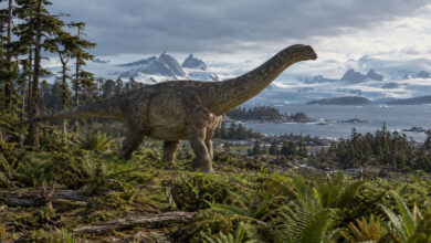 Dinosaur