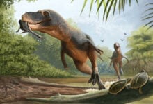 Dinosaur