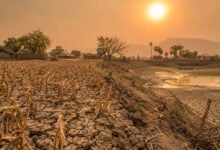 Drought