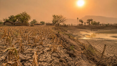 Drought