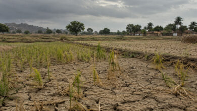 Drought