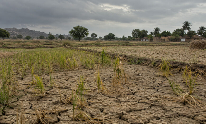 Drought