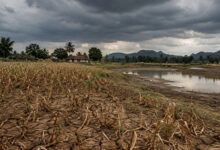 Drought