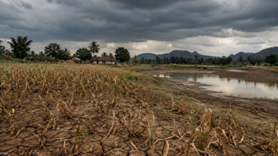 Drought