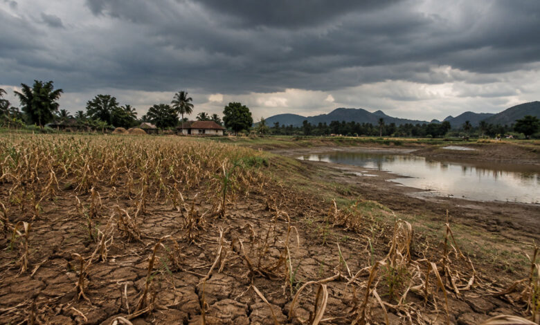 Drought