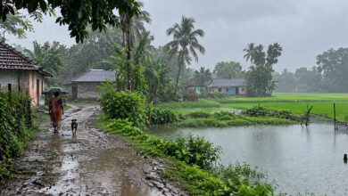 Monsoon
