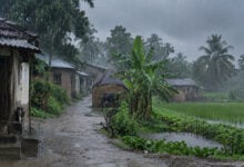 Monsoon