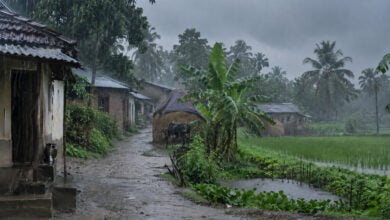 Monsoon