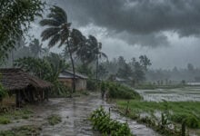 Monsoon