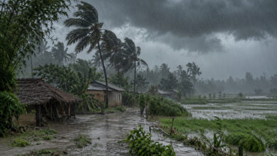 Monsoon