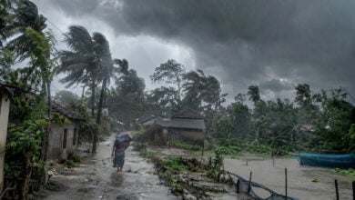 Monsoon