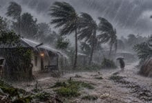 Monsoon