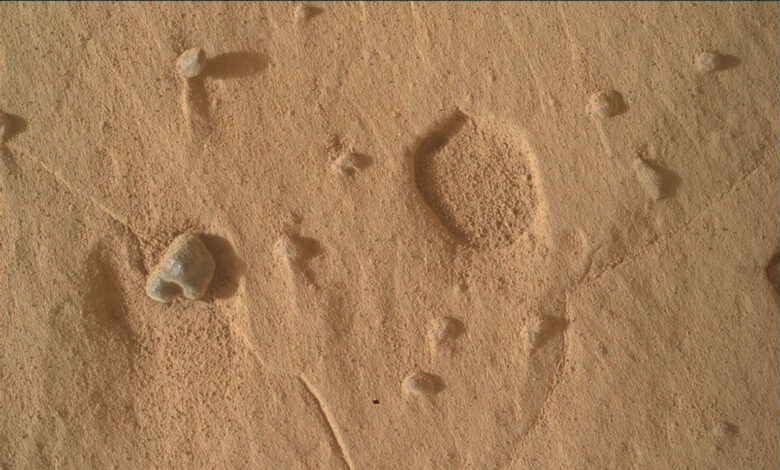 NASA