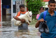 National News