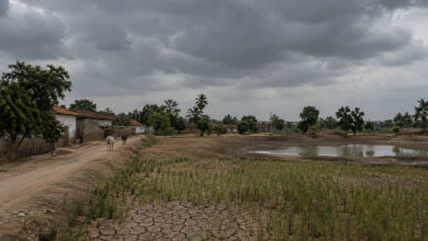 Village