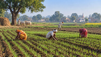 Village