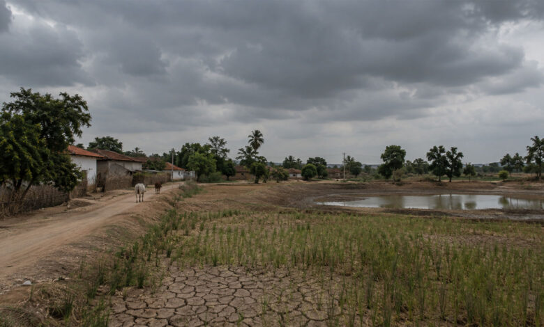 Village