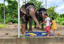 West Bengal News