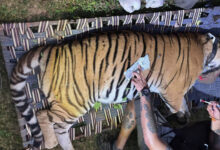 West Bengal News