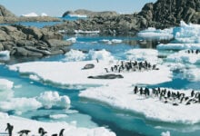 Antarctica