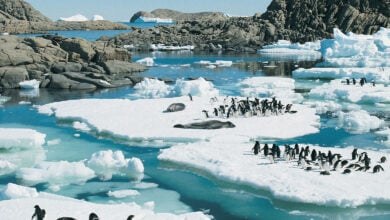 Antarctica