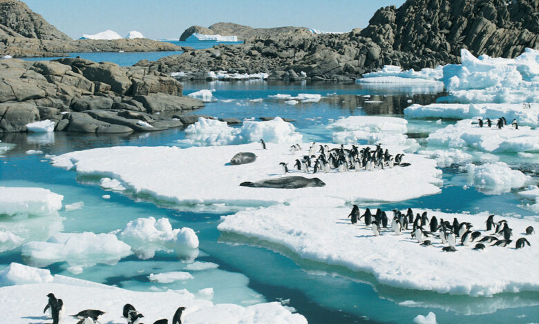 Antarctica