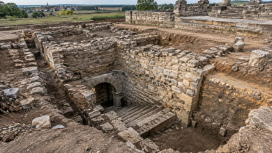 Archaeology