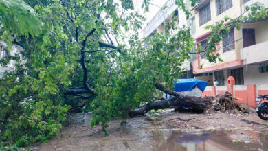Cyclone Arnab