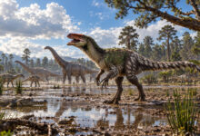 Dinosaur