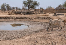 Drought