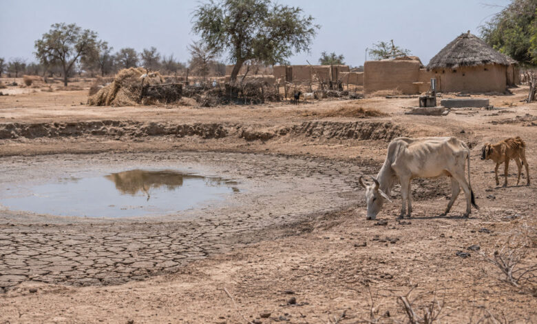 Drought