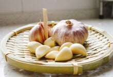 Garlic