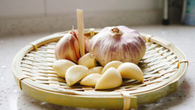 Garlic
