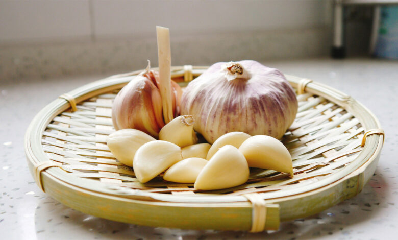 Garlic