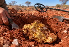 Gold Nugget