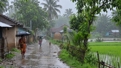 Monsoon