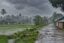 Monsoon