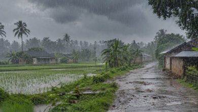 Monsoon