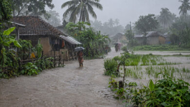 Monsoon